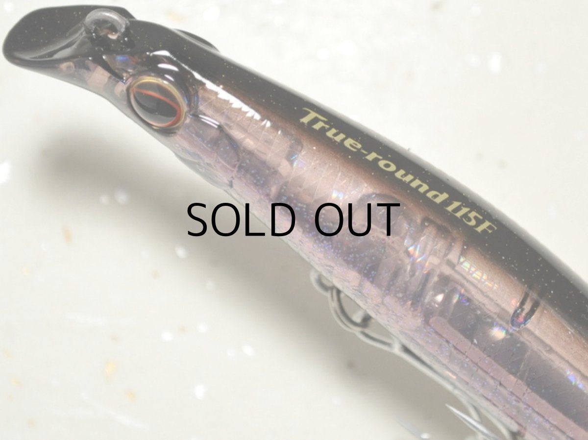 画像2: エバーグリーン トゥルーラウンド115F:#748 ディープパープル■ネコポス対象外■ (2)