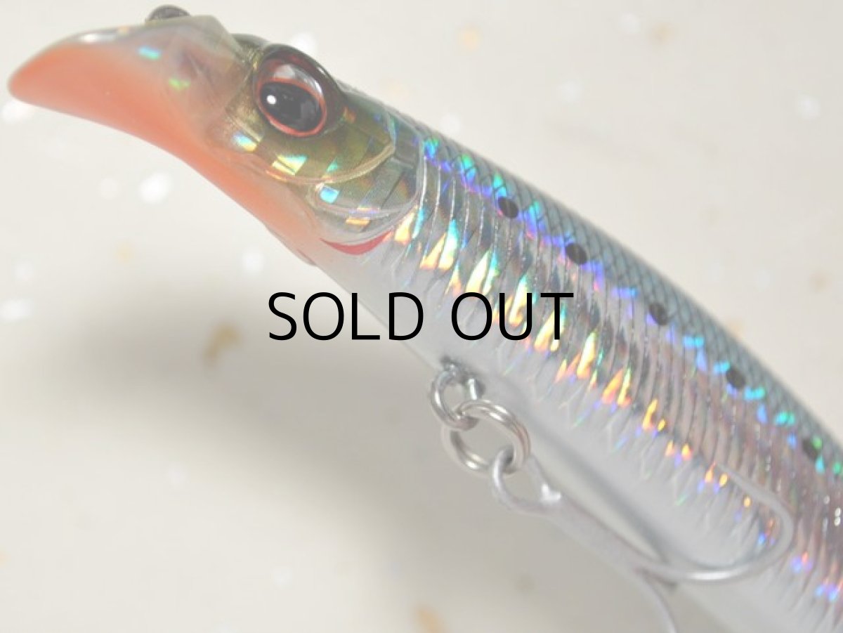 画像3: エバーグリーン トゥルーラウンド94F：＃711 マイワシ【ネコポス配送可】 (3)