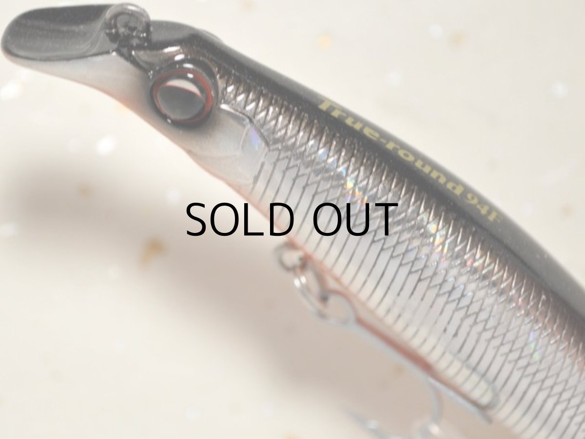 画像2: エバーグリーン トゥルーラウンド94F：＃717 セグロオレンジベリー【ネコポス配送可】 (2)