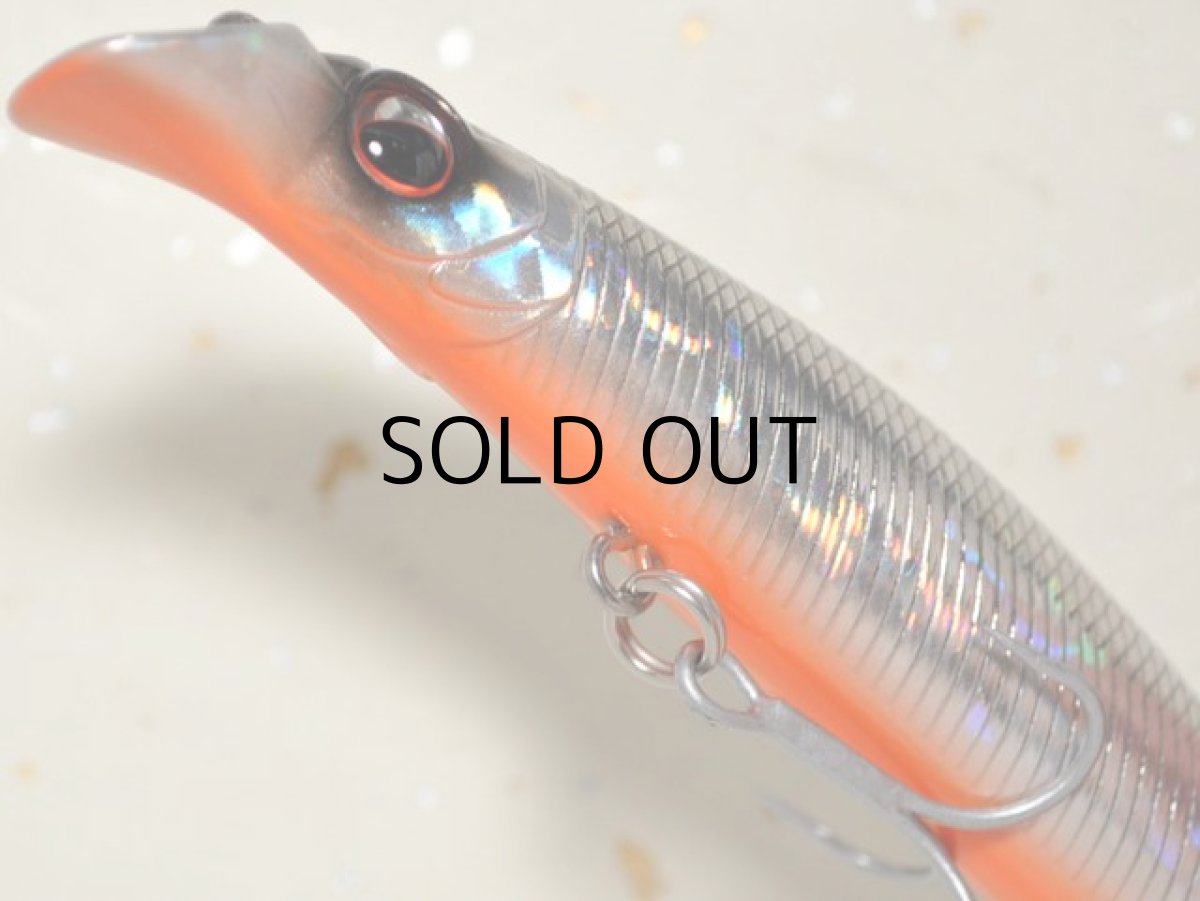 画像3: エバーグリーン トゥルーラウンド94F：＃717 セグロオレンジベリー【ネコポス配送可】 (3)