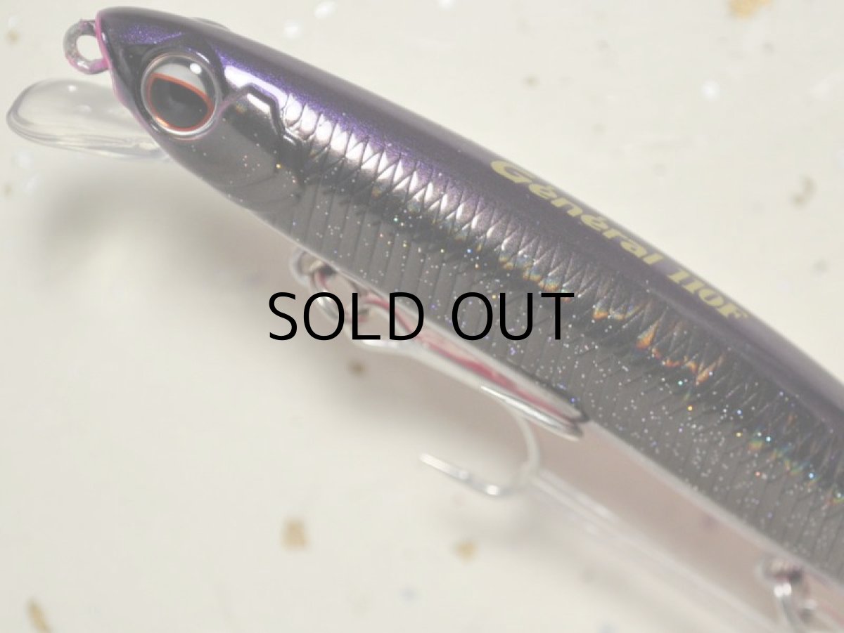 画像2: エバーグリーン ジェネラル110F：＃778 スターダストブラック■ネコポス対象外■ (2)