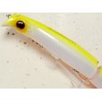 画像2: エバーグリーン ストリームデーモン170J：＃602 ビッグバイトチャート■ネコポス対象外■ (2)