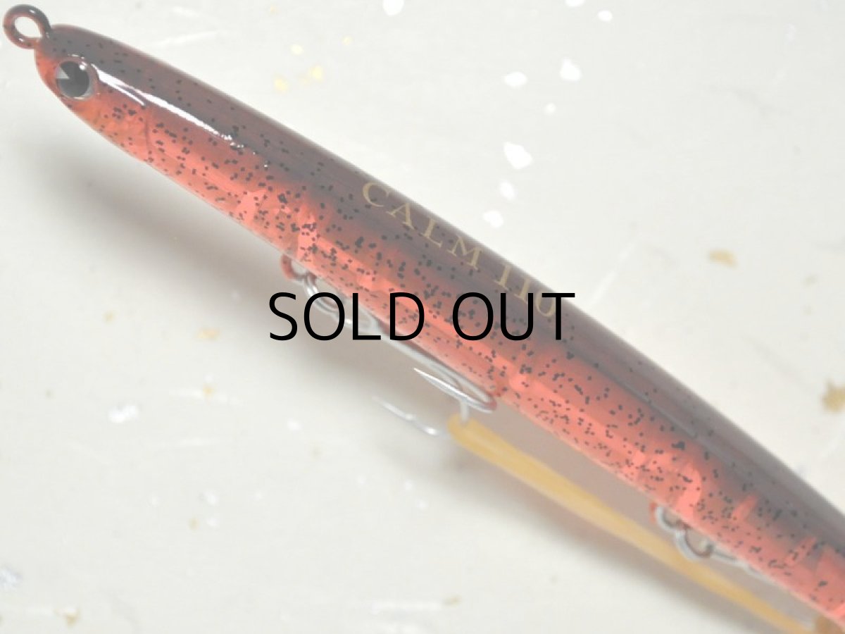 画像2: アイマ カーム110:#CA110-112 多毛類【ネコポス配送可】 (2)