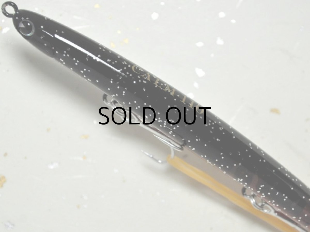 画像2: アイマ カーム110：＃CA110-113 黒バチ【ネコポス配送可】 (2)