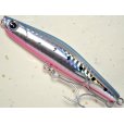 画像1: アイマ ヨイチ99：＃YI99-008 マコイワシ【ネコポス配送可】 (1)