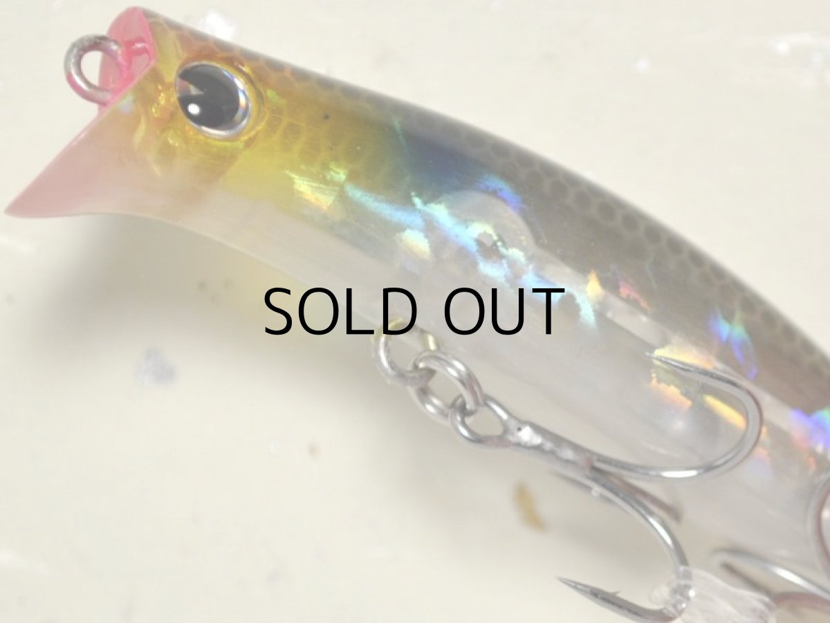 画像3: アイマ コモモII65：KM265-108 クリアーイナッコ【ネコポス配送可】 (3)