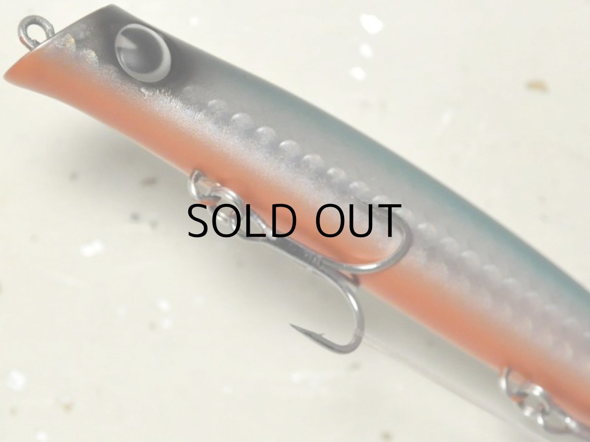 画像3: アイマ コモモ110Sカウンター：＃CT110-119 リバーソルト【ネコポス配送可】 (3)