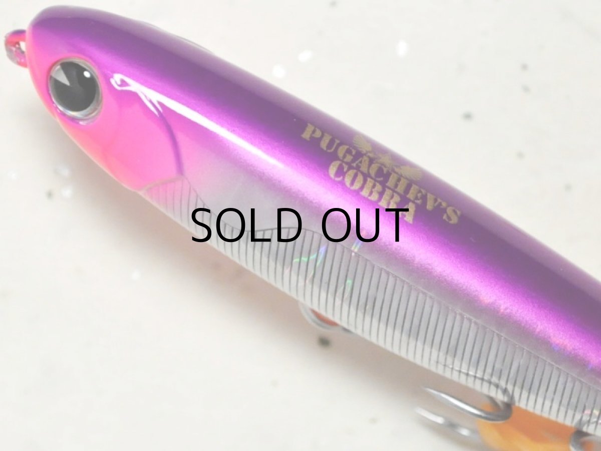 画像2: アイマ プガチョフコブラ：＃PG90-113 バイオレットシャイナー【ネコポス配送可】 (2)