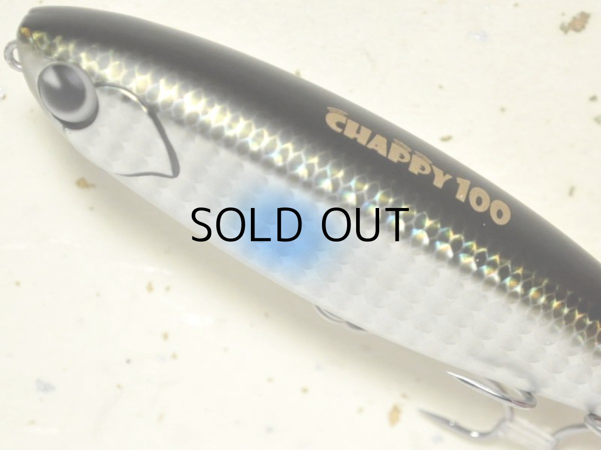 画像2: アイマ チャッピー100：＃CP100-011 銀影【ネコポス配送可】 (2)