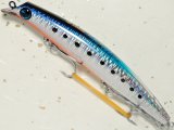 アイマ サスケ120裂波SSPエクリプスカスタム：＃ECT109 ブラッディイワシ【ネコポス配送可】