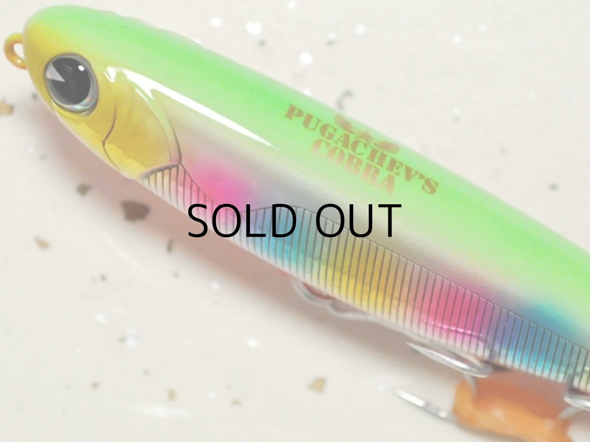 画像2: アイマ プガチョフコブラ：＃PG90-121 玉彩【ネコポス配送可】 (2)