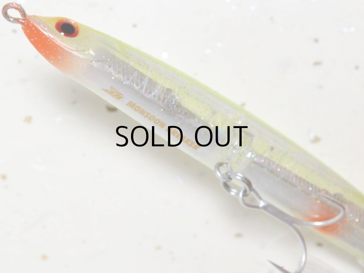 画像3: ジップベイツ ザブラ モンスーンブレイカー：476 房総チャート【ネコポス配送可】 (3)