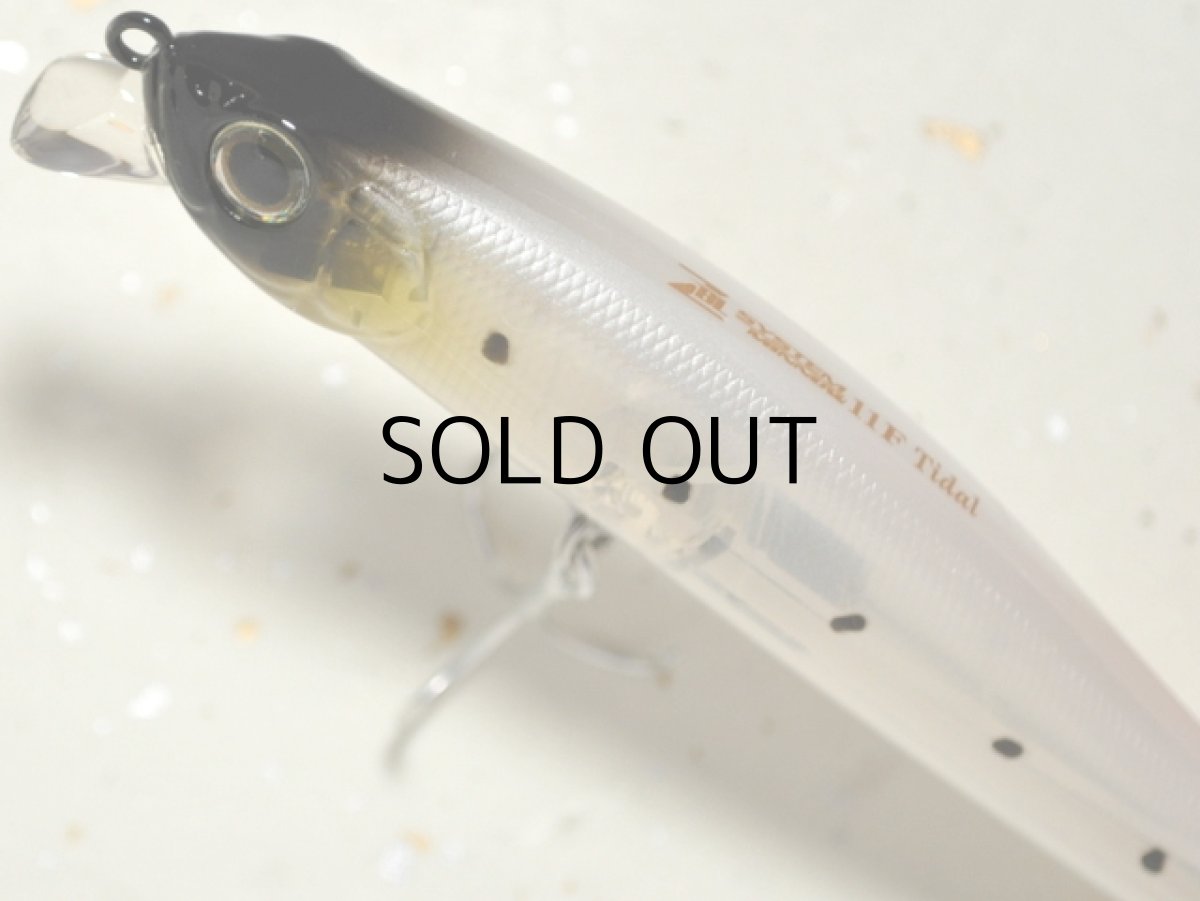 画像2: ジップベイツ ザブラ システムミノー11Fタイダル：768 ゴースト闇鰯■ネコポス対象外■ (2)