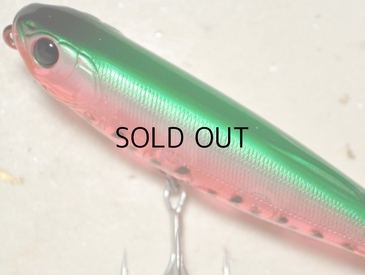 画像2: ジップベイツ ザブラ フェイキードッグDS：566 スイカ【ネコポス配送可】 (2)