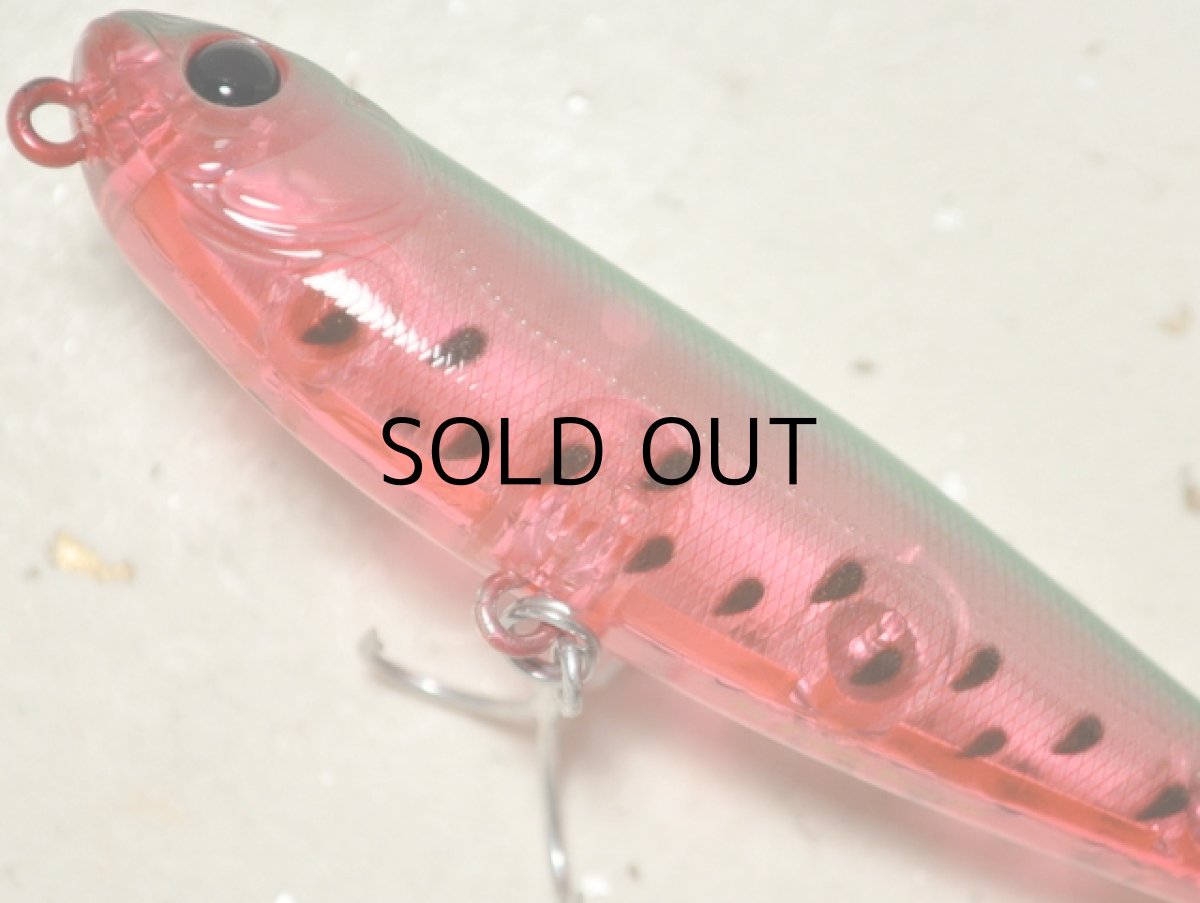 画像3: ジップベイツ ザブラ フェイキードッグDS：566 スイカ【ネコポス配送可】 (3)