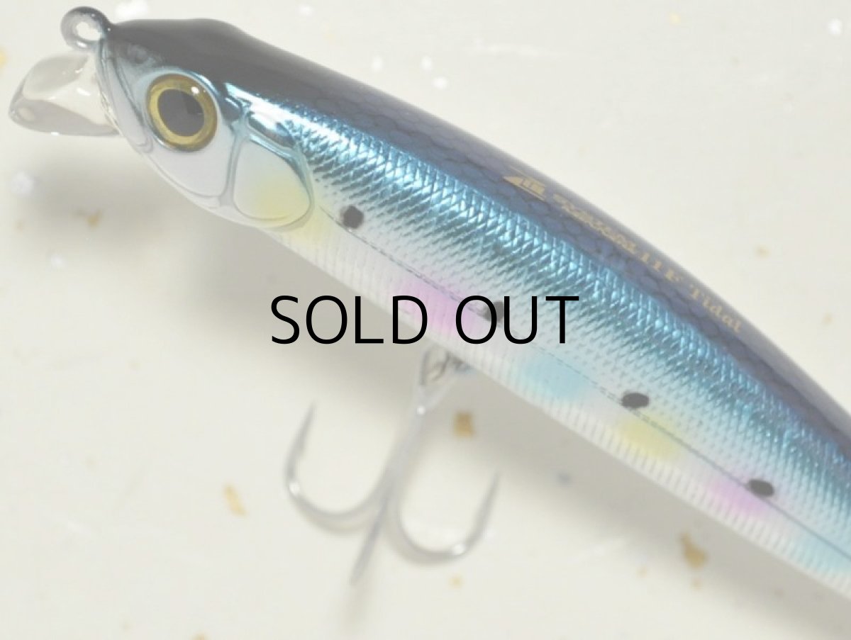 画像2: ジップベイツ ザブラ システムミノー11Fタイダル：有頂天 キャンディーイワシ■ネコポス対象外■ (2)