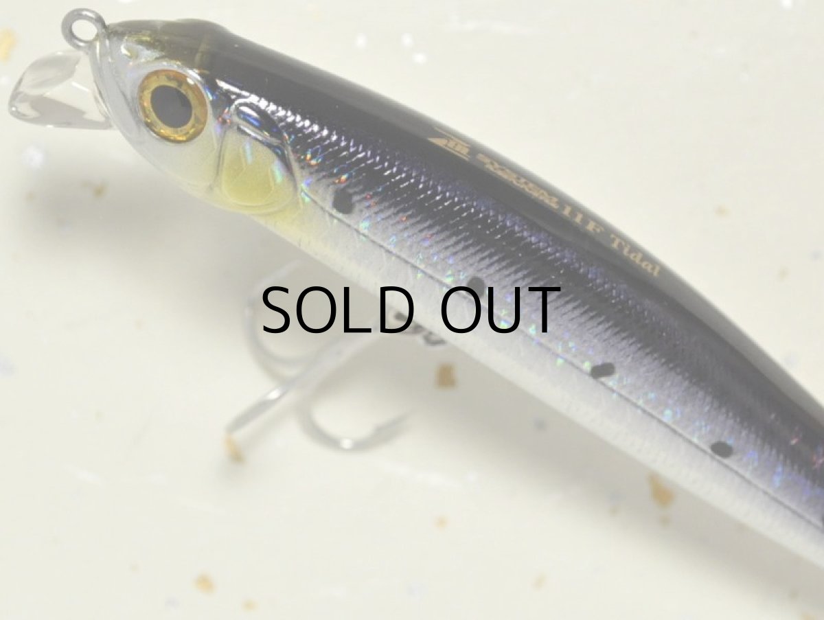 画像2: ジップベイツ ザブラ システムミノー11Fタイダル：718 ホロイワシ■ネコポス対象外■ (2)