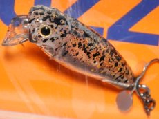 画像2: deps デプス バズジェット トラウトモデル BJTM＃05 クリアブラックセサミ【ネコポス配送可】 (2)