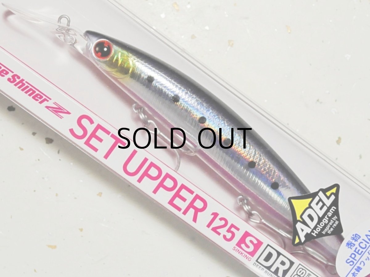 画像1: ダイワ ショアラインシャイナーZ セットアッパー 125S-DR 青物スペシャル ：アデルケイムラ王道イワシ■ネコポス対象外■ (1)
