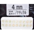 あわび本舗 あわび目玉 4mm：日本あわび/ナチュラル【ネコポス配送可】