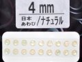 あわび本舗 あわび目玉 4mm：日本あわび/ナチュラル【ネコポス配送可】