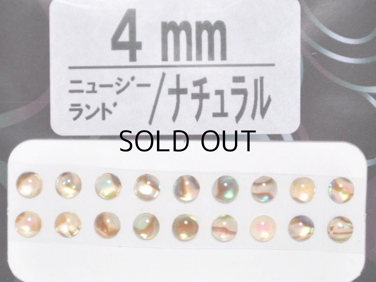 画像1: あわび本舗 あわび目玉 4mm：ニュージーランド/ナチュラル【ネコポス配送可】 (1)