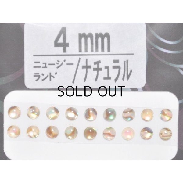 画像1: あわび本舗 あわび目玉 4mm：ニュージーランド/ナチュラル【ネコポス配送可】