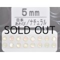 あわび本舗 あわび目玉 5mm：日本あわび/ナチュラル【ネコポス配送可】