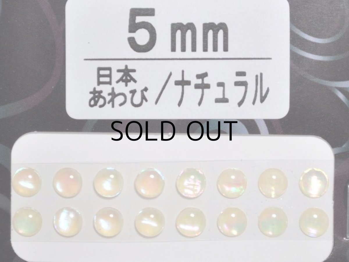画像1: あわび本舗 あわび目玉 5mm：日本あわび/ナチュラル【ネコポス配送可】 (1)