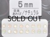 あわび本舗 あわび目玉 5mm：日本あわび/ナチュラル【ネコポス配送可】