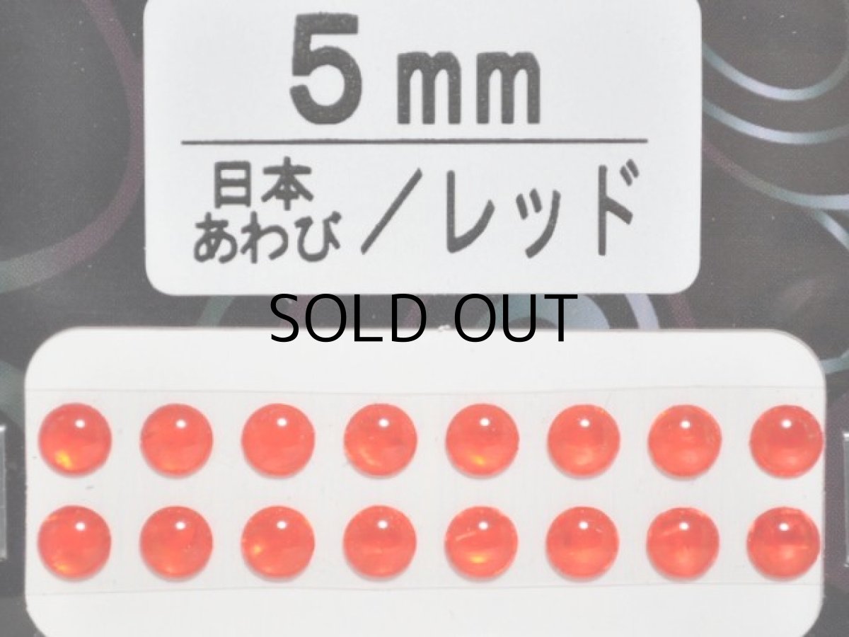 画像1: あわび本舗 あわび目玉 5mm：日本あわび/レッド【ネコポス配送可】 (1)