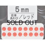 あわび本舗 あわび目玉 5mm：日本あわび/レッド【ネコポス配送可】