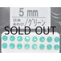 あわび本舗 あわび目玉 5mm：日本あわび/グリーン【ネコポス配送可】
