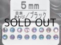 あわび本舗 あわび目玉 5mm：日本あわび/ブラック【ネコポス配送可】