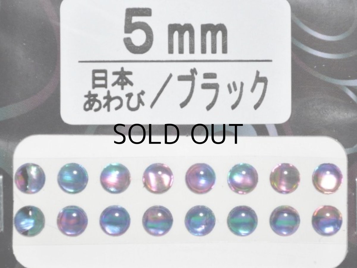 画像1: あわび本舗 あわび目玉 5mm：日本あわび/ブラック【ネコポス配送可】 (1)