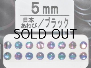 あわび本舗 あわび目玉 6mm：日本あわび/ブルー【ネコポス配送可