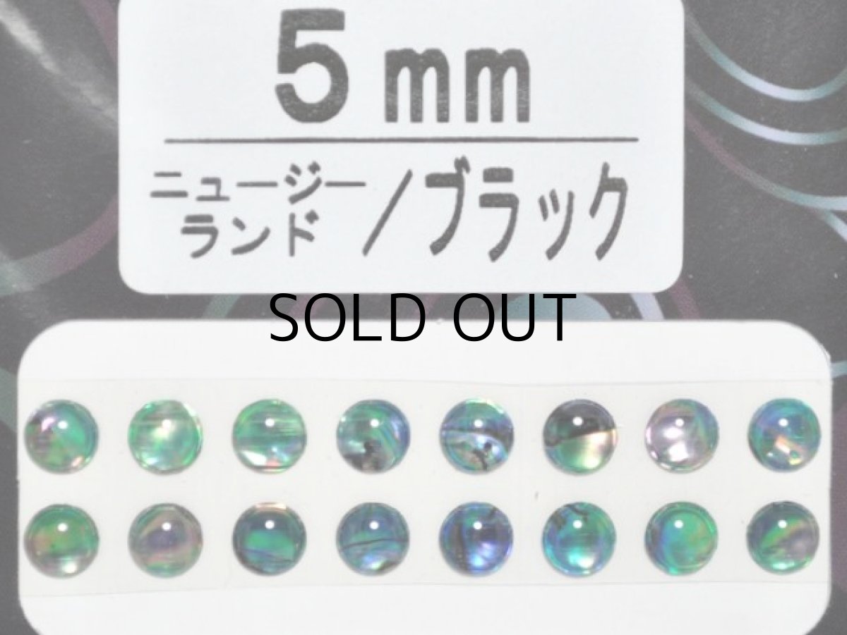 画像1: あわび本舗 あわび目玉 5mm：ニュージーランド/ブラック【ネコポス配送可】 (1)