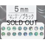 あわび本舗 あわび目玉 5mm：ニュージーランド/ブラック【ネコポス配送可】