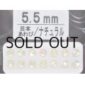 あわび本舗 あわび目玉 5.5mm：日本あわび/ナチュラル【ネコポス配送可】