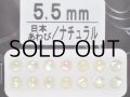 あわび本舗 あわび目玉 5.5mm：日本あわび/ナチュラル【ネコポス配送可】