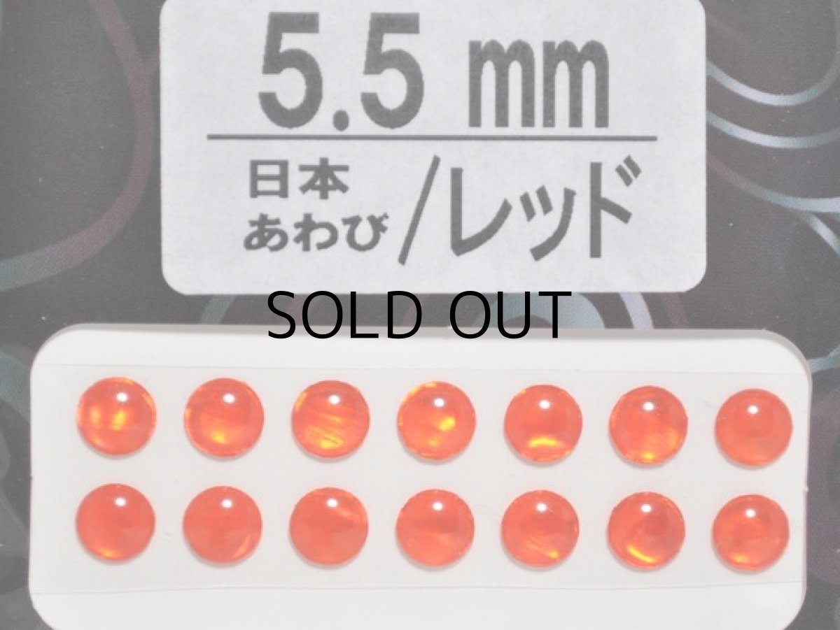 画像1: あわび本舗 あわび目玉 5.5mm：日本あわび/レッド【ネコポス配送可】 (1)