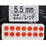 あわび本舗 あわび目玉 5.5mm：日本あわび/レッド【ネコポス配送可】