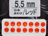 あわび本舗 あわび目玉 5.5mm：日本あわび/レッド【ネコポス配送可】