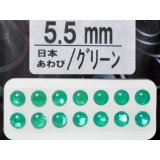 あわび本舗 あわび目玉 5.5mm：日本あわび/グリーン【ネコポス配送可】