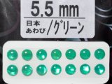あわび本舗 あわび目玉 5.5mm：日本あわび/グリーン【ネコポス配送可】