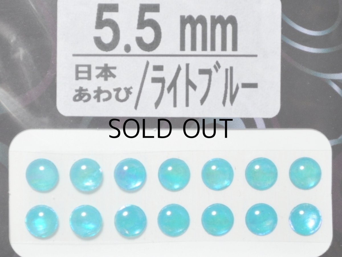 画像1: あわび本舗 あわび目玉 5.5mm：日本あわび/ライトブルー【ネコポス配送可】 (1)