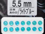 あわび本舗 あわび目玉 5.5mm：日本あわび/ライトブルー【ネコポス配送可】