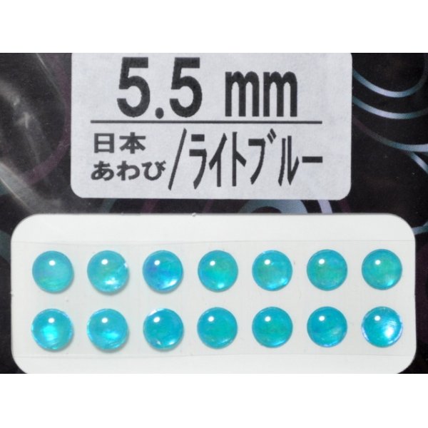 画像1: あわび本舗 あわび目玉 5.5mm：日本あわび/ライトブルー【ネコポス配送可】