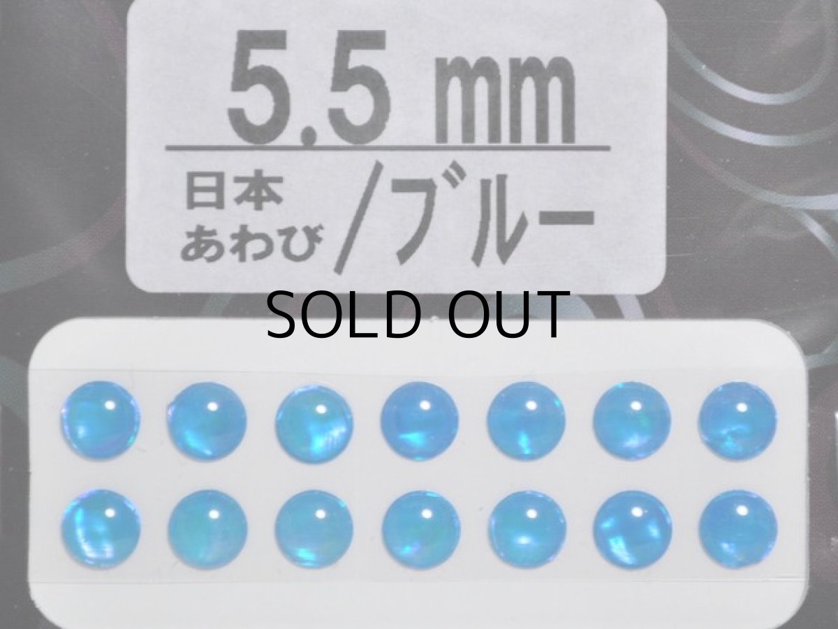 画像1: あわび本舗 あわび目玉 5.5mm：日本あわび/ブルー【ネコポス配送可】 (1)