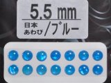 あわび本舗 あわび目玉 5.5mm：日本あわび/ブルー【ネコポス配送可】